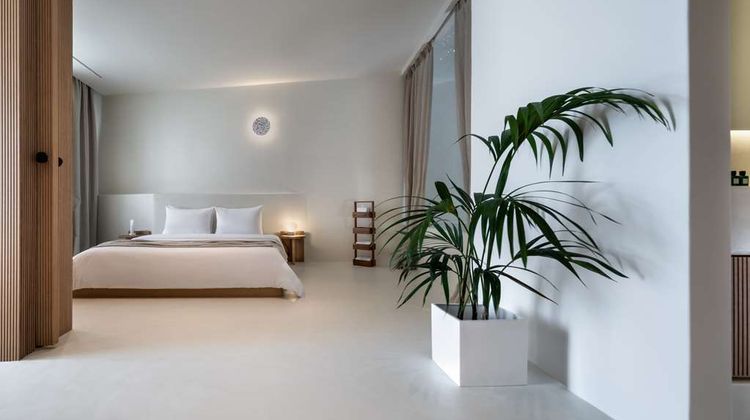 Andronis Luxury Suites Suite