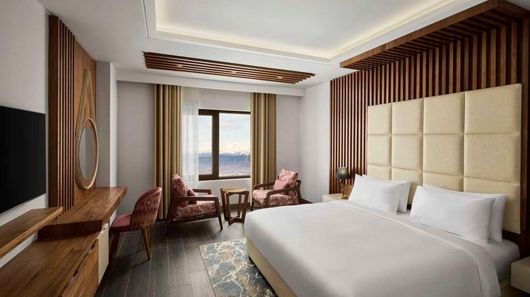 Radisson Blu Resort & Spa-Korek Mountain Room