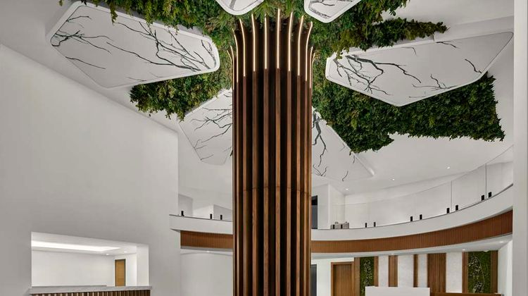 Radisson Blu Resort & Spa-Korek Mountain Spa