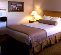 Econo Lodge Inn & Suites Room