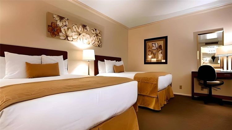 Econo Lodge Inn & Suites Room