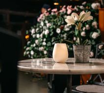 Hotell Bjorken Lobby
