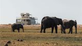 Chobe Princesses by Mantis Exterior