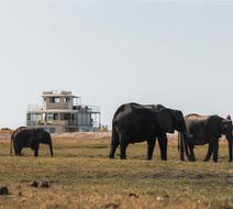 Chobe Princesses by Mantis Exterior