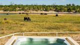 Chobe Princesses by Mantis Pool