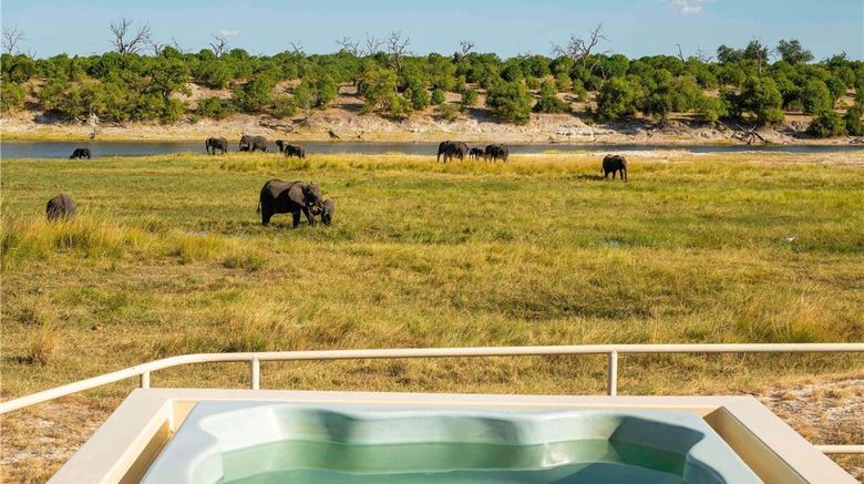 <b>Chobe Princesses by Mantis Pool</b>. Images powered by <a href="https://iceportal.shijigroup.com/" title="IcePortal" target="_blank">IcePortal</a>.