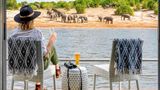 Chobe Princesses by Mantis Room