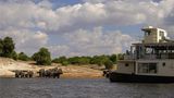 Chobe Princesses by Mantis Other