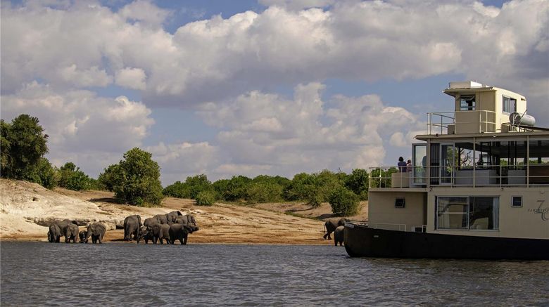 <b>Chobe Princesses by Mantis Other</b>. Images powered by <a href="https://iceportal.shijigroup.com/" title="IcePortal" target="_blank">IcePortal</a>.