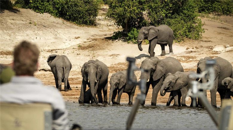 <b>Chobe Princesses by Mantis Other</b>. Images powered by <a href="https://iceportal.shijigroup.com/" title="IcePortal" target="_blank">IcePortal</a>.