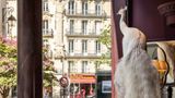 <b>Hotel Une Autre Chambre Restaurant</b>. Images powered by <a href="https://iceportal.shijigroup.com/" title="IcePortal" target="_blank">IcePortal</a>.