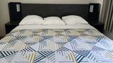 <b>Baymont by Wyndham San Antonio Airport Room</b>. Images powered by <a href="https://iceportal.shijigroup.com/" title="IcePortal" target="_blank">IcePortal</a>.
