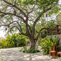 Soul Spring Sanctuary Cuernavaca