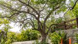 <b>Soul Spring Sanctuary Cuernavaca Exterior</b>. Images powered by <a href="https://iceportal.shijigroup.com/" title="IcePortal" target="_blank">IcePortal</a>.