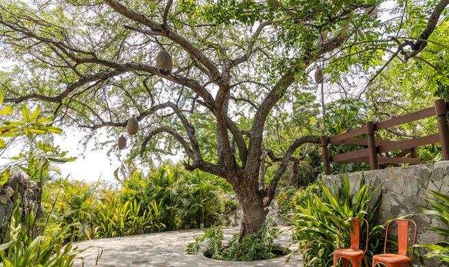 Soul Spring Sanctuary Cuernavaca Exterior