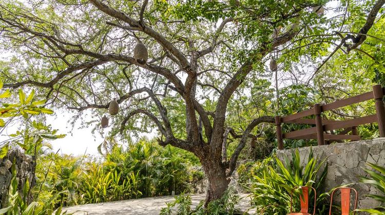Soul Spring Sanctuary Cuernavaca Exterior