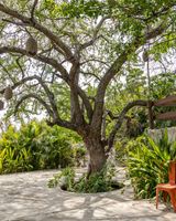 Soul Spring Sanctuary Cuernavaca