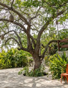 Soul Spring Sanctuary Cuernavaca