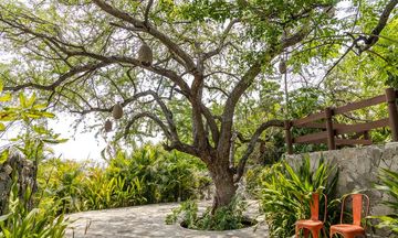 Soul Spring Sanctuary Cuernavaca