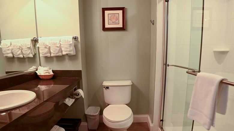 <b>Park Place Hotel Room</b>. Images powered by <a href="https://iceportal.shijigroup.com/" title="IcePortal" target="_blank">IcePortal</a>.