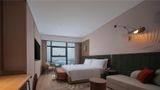 Hilton Garden Inn Jingzhou Shashi Room