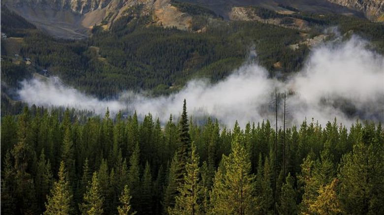 <b>One&Only Moonlight Basin Other</b>. Images powered by <a href="https://iceportal.shijigroup.com/" title="IcePortal" target="_blank">IcePortal</a>.