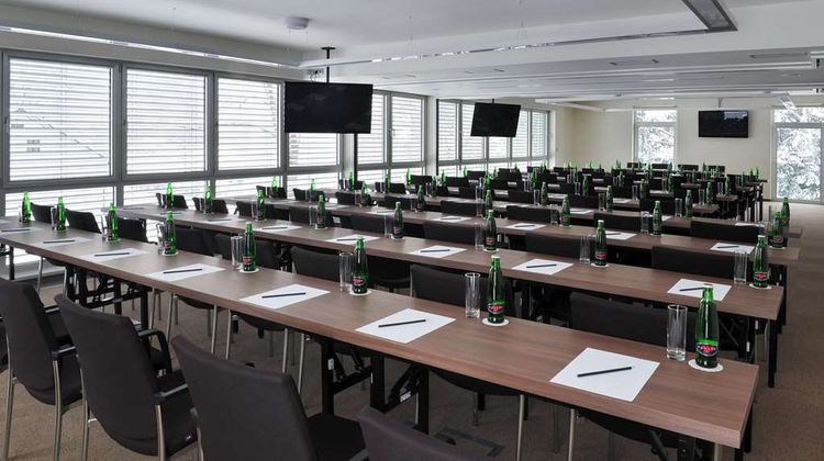 Hotel Davidek Meeting