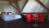 Hotel Hofgut Hohenkarpfen Room