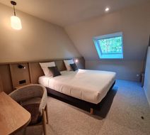 Hotel Hotel Alencon Room