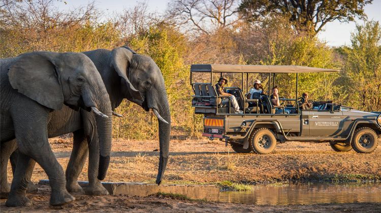 Anantara Stanley & Livingstone Hotel Recreation