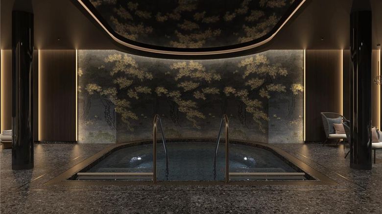 <b>Steigenberger Icon Europaeischer Hof Pool</b>. Images powered by <a href="https://iceportal.shijigroup.com/" title="IcePortal" target="_blank">IcePortal</a>.