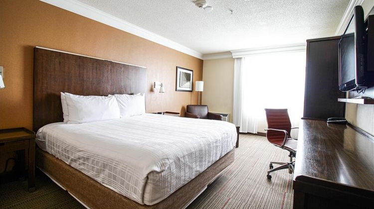 Waterloo Suites Hotel Room