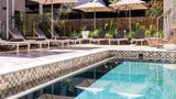 aha The Rex Hotel Pool