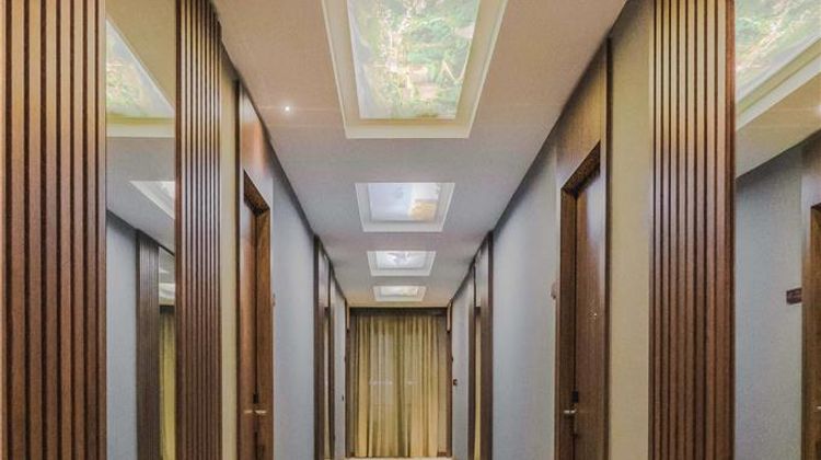 Hotel Alina Other