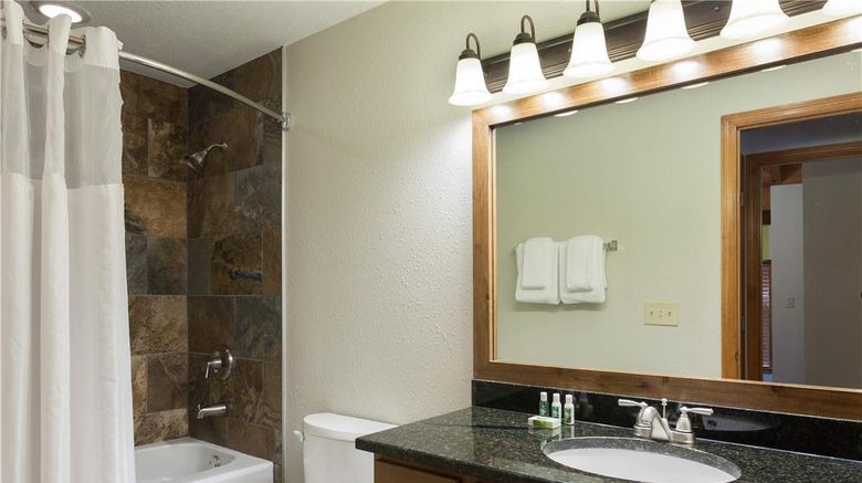 <b>Hilton Vacation Club MountainLoft Gatlin Room</b>. Images powered by <a href="https://iceportal.shijigroup.com/" title="IcePortal" target="_blank">IcePortal</a>.