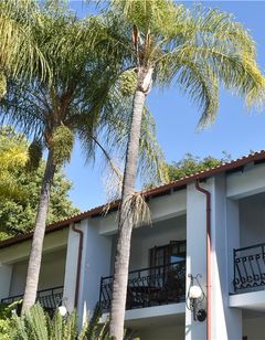 Aanmani Rose Guesthouse