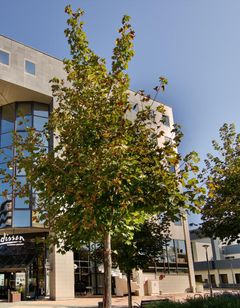 Radisson Hotel Clermont-Ferrand