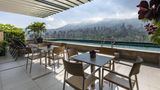 York Medellin,Curio Collection by Hilton Pool