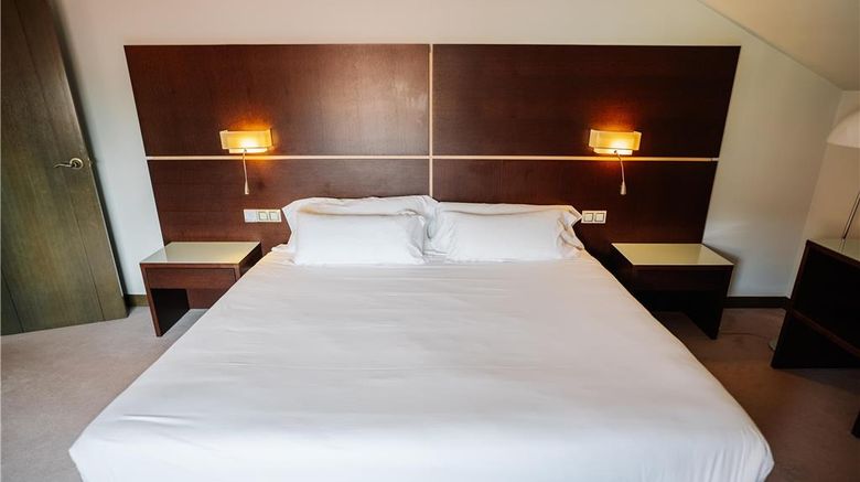 <b>Hotel Rice Palacio de los Blasones Room</b>. Images powered by <a href="https://iceportal.shijigroup.com/" title="IcePortal" target="_blank">IcePortal</a>.