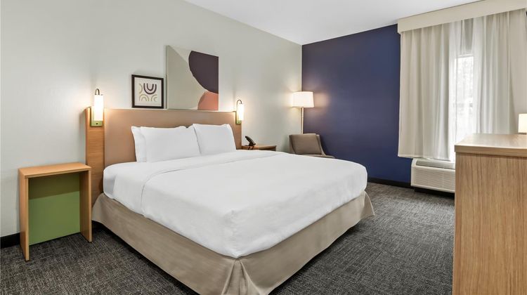 Spark by Hilton Terrell Room