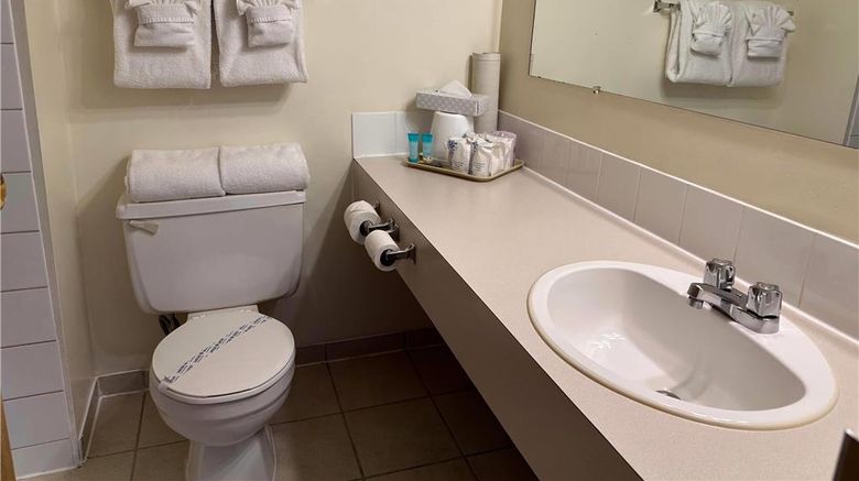 <b>Travelodge by Wyndham Chetwynd Room</b>. Images powered by <a href="https://iceportal.shijigroup.com/" title="IcePortal" target="_blank">IcePortal</a>.