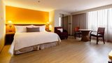 <b>Camino Real Mexico Aeropuerto Suite</b>. Images powered by <a href="https://iceportal.shijigroup.com/" title="IcePortal" target="_blank">IcePortal</a>.