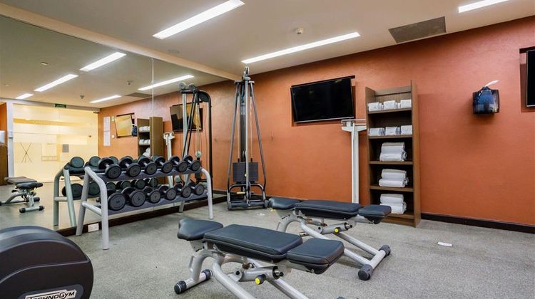 Camino Real Pedregal Health