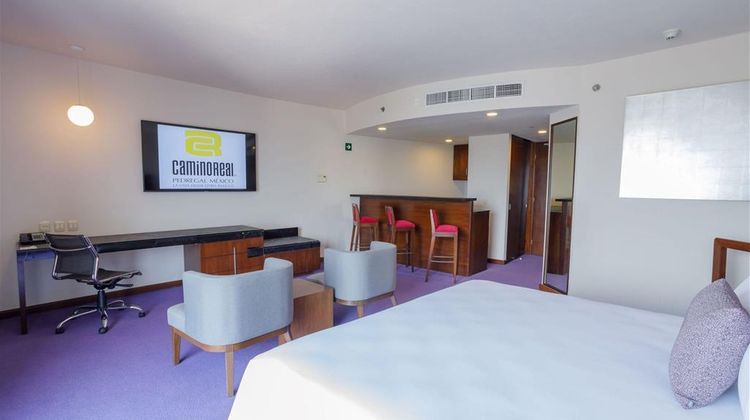 Camino Real Pedregal Suite