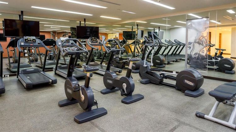 Camino Real Pedregal Health
