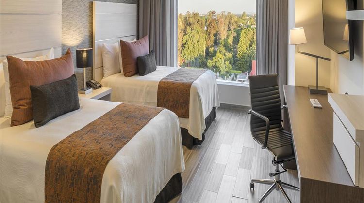 Real Inn Celaya Room