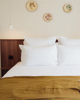 Hotel Camelia International