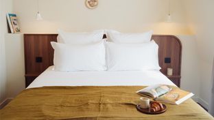 Hotel Camelia International