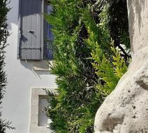 Hotel Villa Glanum Exterior