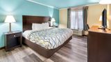 <b>Red Lion Inn & Suites Blue Springs Room</b>. Images powered by <a href="https://iceportal.shijigroup.com/" title="IcePortal" target="_blank">IcePortal</a>.